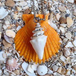 One of a Kind Wire Wrapped Natural Shell Necklace